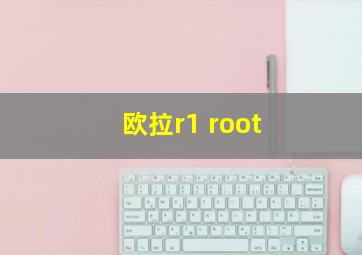 欧拉r1 root